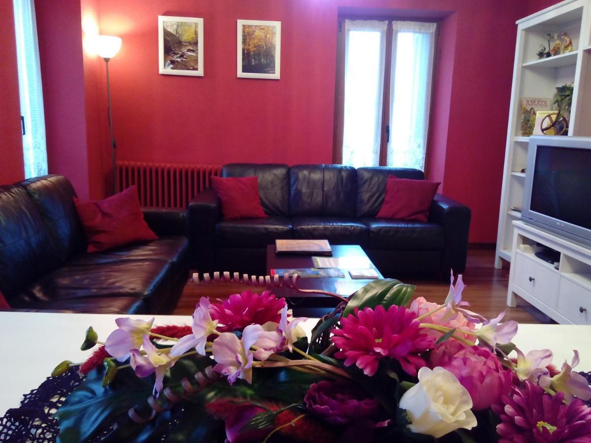 Apartamentos Rurales Imaz Etxea - Urbasa 올라자구챠 객실 사진