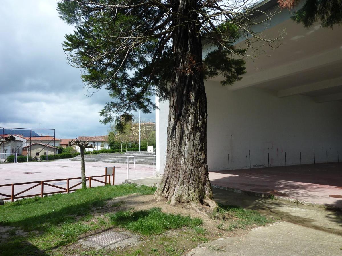 Apartamentos Rurales Imaz Etxea - Urbasa 올라자구챠 객실 사진